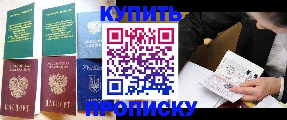 прописка для школы в Чудово